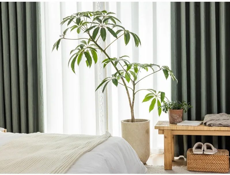 light-green-blackout-curtains, blackout-curtains, bedroom-curtains, edit-home